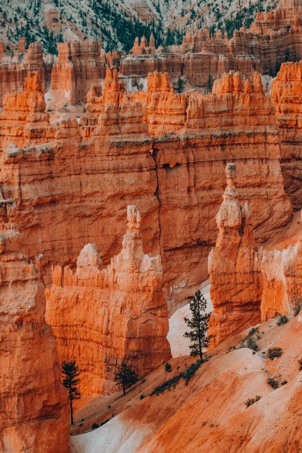 קנונוויל Wander Camp Bryce Canyon - Escalante מראה חיצוני תמונה